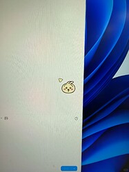 正常选择